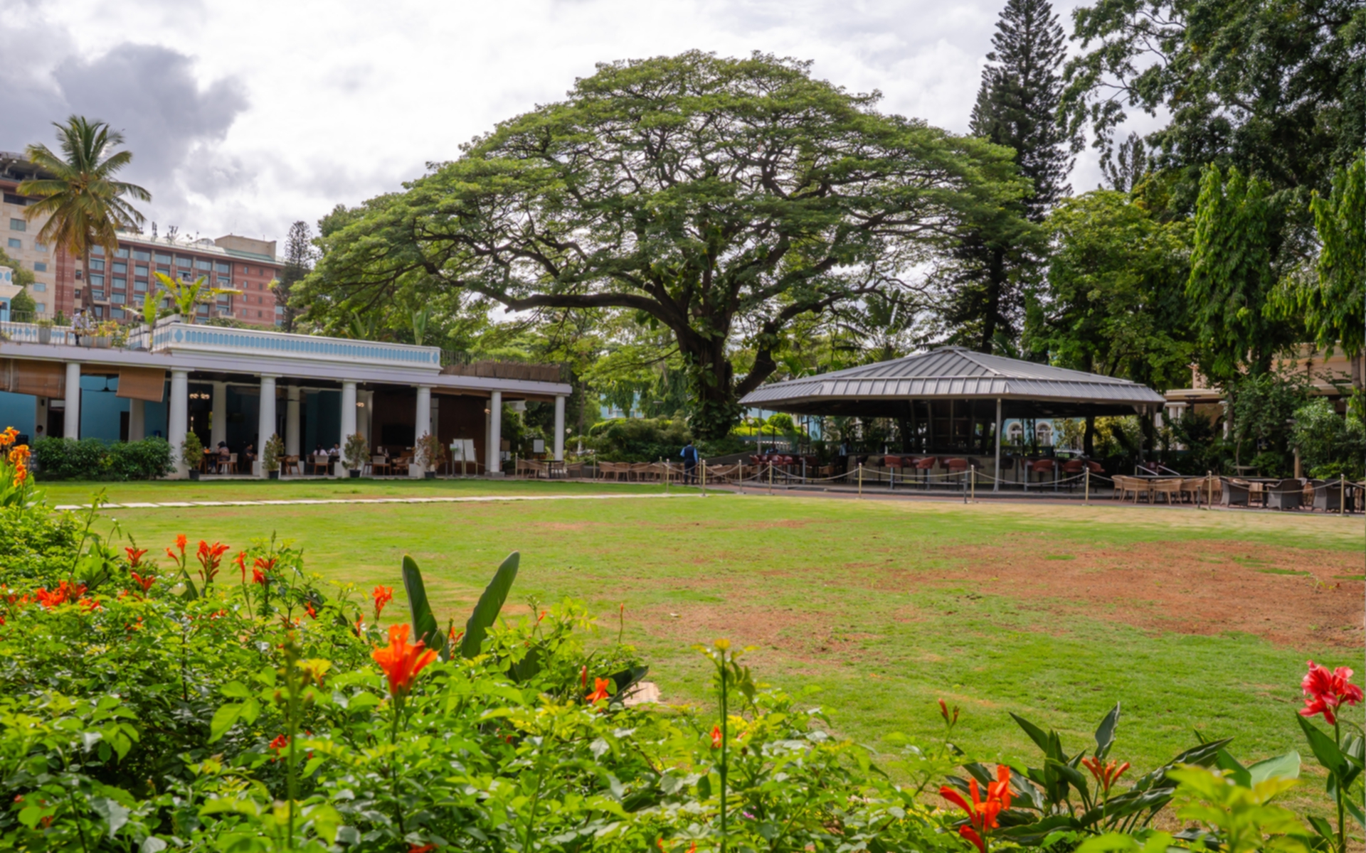 Main Lawn